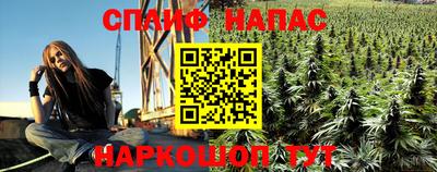 МДПВ Бийск