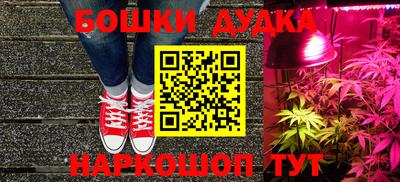 МДПВ Бийск