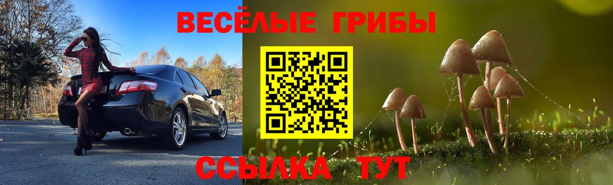 Псилоцибиновые грибы GOLDEN TEACHER  Галлюциногенные грибы Psilocybe  Бугуруслан 